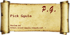 Pick Gyula névjegykártya